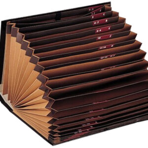 Carpeta acordeon